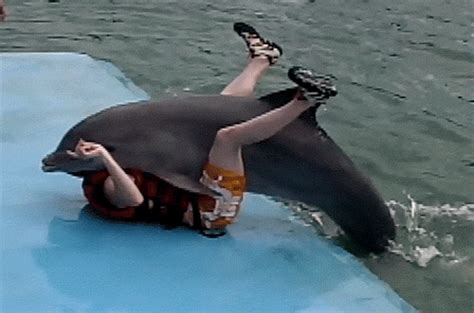 a person laying on top of a dolphin in the water with their feet hanging out