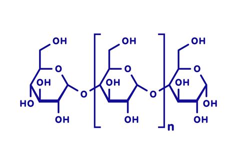 Polysaccharides Cellulose