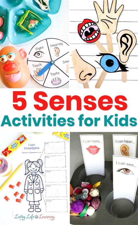 5 Senses Activities for Kids