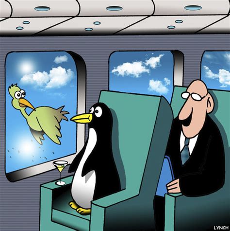 Flying penguin By toons | Nature Cartoon | TOONPOOL