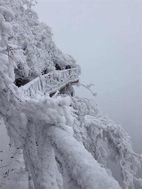 Plank Road of Tianmen Mountain,Zhangjiajie Tianmen Mountain National ...