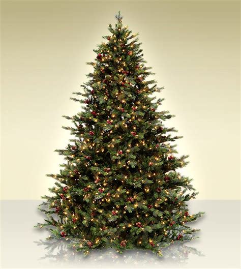 12 Ft Christmas Tree - Photos All Recommendation