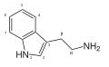 File:Tryptamine structure.svg - Wikimedia Commons