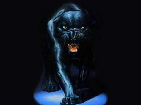 Black Jaguar Wallpaper Hd 1080P