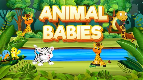 Animal Babies | Play Free Games Online