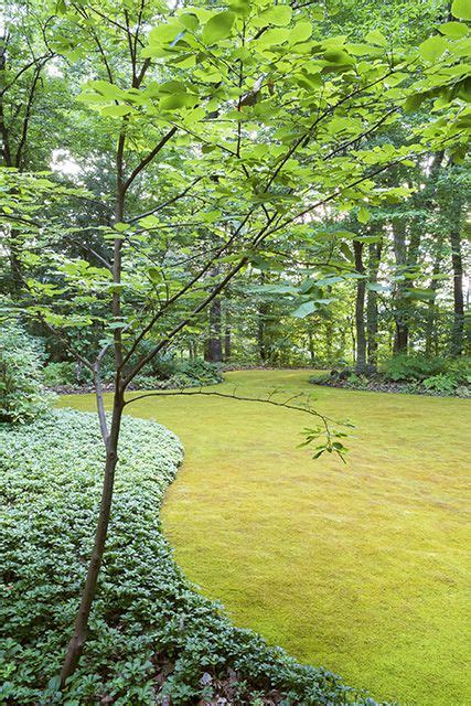 Create a Moss Lawn for Year-Round Green