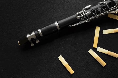 Best Synthetic Clarinet Reeds - Clarinet Expert