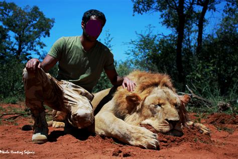 African lion hunting safari packages South Africa with the experts