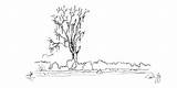 Spanish Moss Tree Coloring Pages sketch template