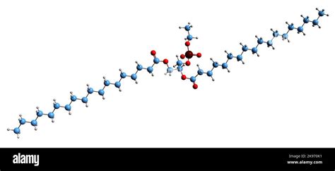 3D image of Phosphatidylethanol skeletal formula - molecular chemical structure of phospholipid ...