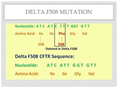 PPT - Cystic Fibrosis: A Clinical Nutrition Case STudy PowerPoint ...