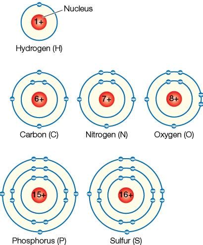 Chemical Bond Formation