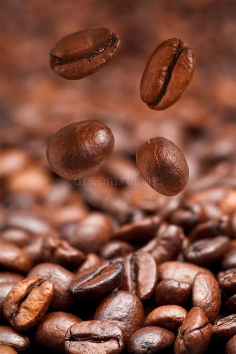 Four falling coffee beans stock image. Image of focus - 35949113