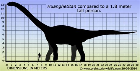 Bruhathkayosaurus Fossils