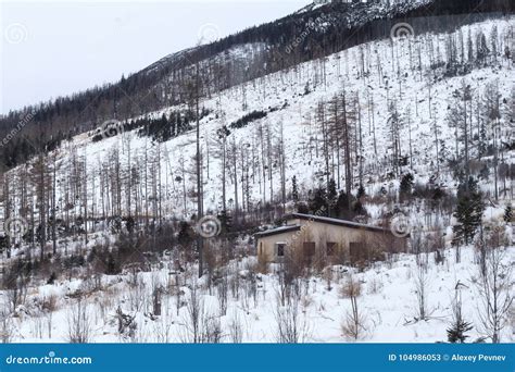 View of the High Tatras Mountains in the Tatra National Park in Slovakia at Winter. Stock Image ...