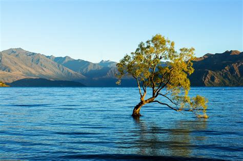 Lake Wanaka Pictures | Download Free Images on Unsplash