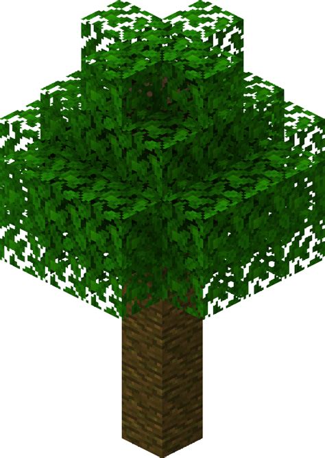 Jungle tree – Minecraft Wiki