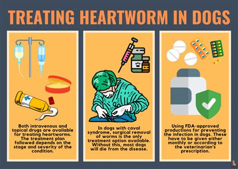 A Guide To Prevent And Treat Heartworm In Dogs | Bark For More