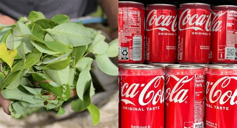 Indigenous Coca Leaf Jefa Won a Lawsuit Against Coca-Cola