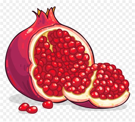 Pomegranate Clipart, HD Png Download - vhv