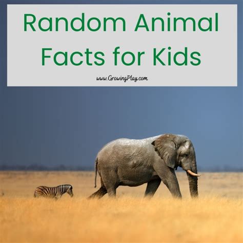 Random Animal Facts - Growing Play