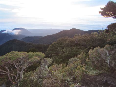 LEXICAL CROWN: MOUNT DULANG-DULANG CLIMB