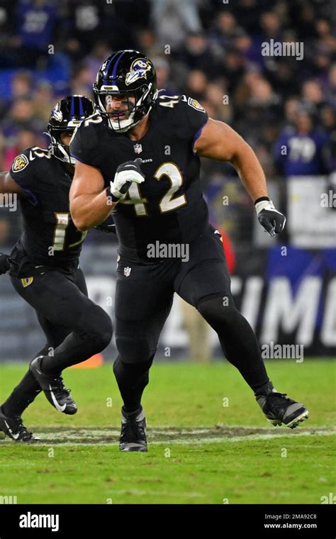 Baltimore Ravens fullback Patrick Ricard (42) in action during the second half of a NFL football ...