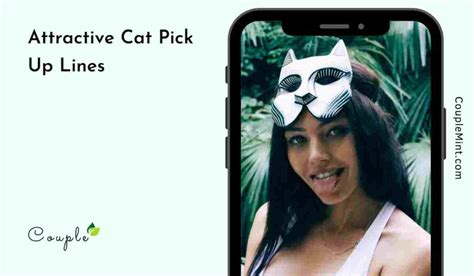 100+ Attractive Cat Pick Up Lines You Must Try | CoupleMint