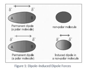 Explain Dipole–Induced Dipole Forces