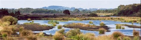 Bord na Móna - Lough Boora Discovery Park