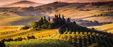 Wallpaper : landscape, Tuscany, Italy, vineyard, field 3440x1440 - sant ...