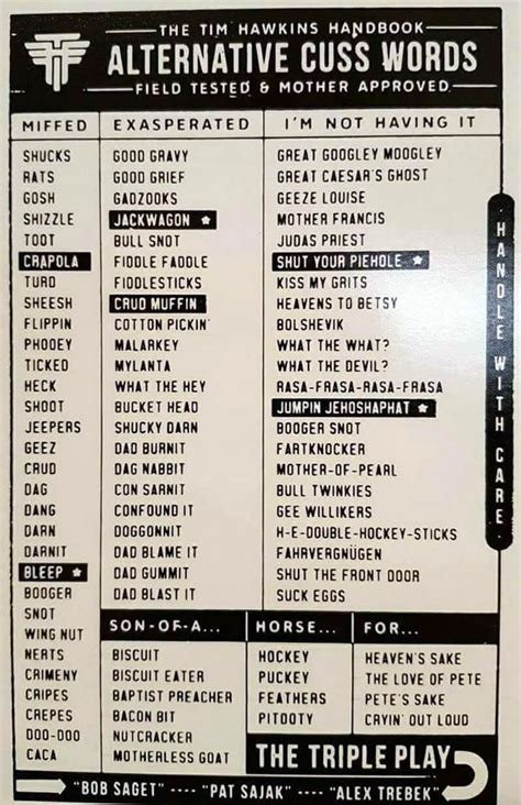 Vocabulary builder of the day: The alternative cuss words chart - The Adventures of Accordion ...