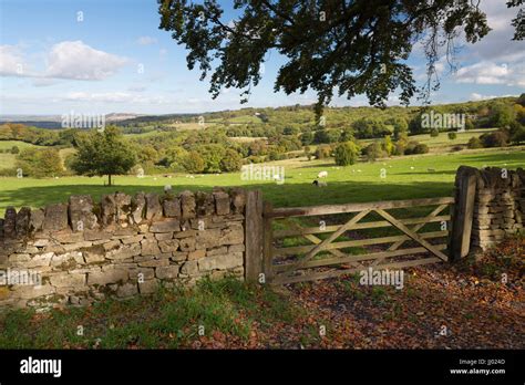 View over Cotswold landscape and drystone wall with wooden five bar gate, Saintbury, Cotswolds ...