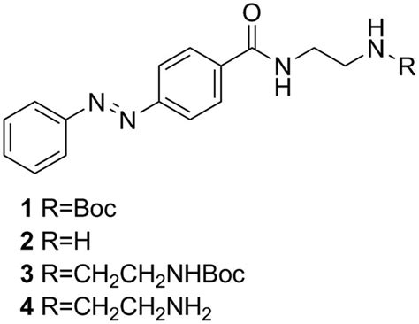 Synthetic route of the azobenzene derivatives.: | Download Scientific Diagram