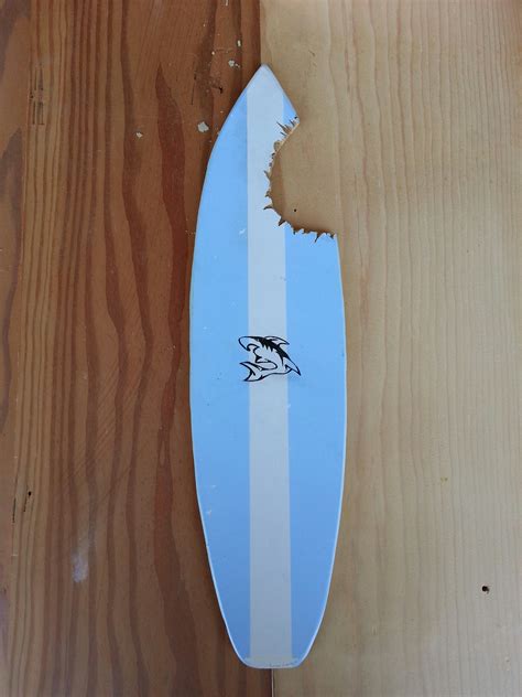 Sharkbite Surfboard : 11 Steps - Instructables