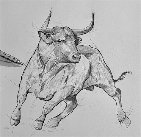 Pencil Drawings Of Animals, Animal Sketches, Art Drawings Sketches, Bull Art Drawing, Cow ...