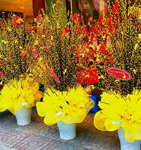 Tet Flowers Vietnam - Flowers for Tet festival Viet Nam