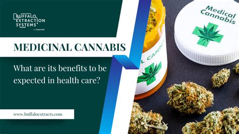 Medicinal Cannabis: What Are Its Benefits To Be Expected?