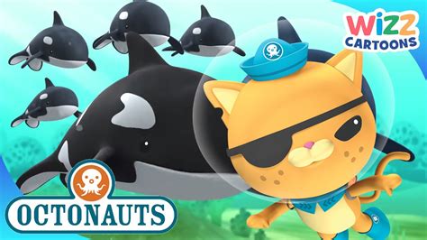 @Octonauts - Rescue Missions | Compilation | Wizz Cartoons - YouTube