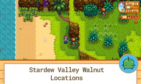 Stardew Valley Walnut Locations - SDew HQ