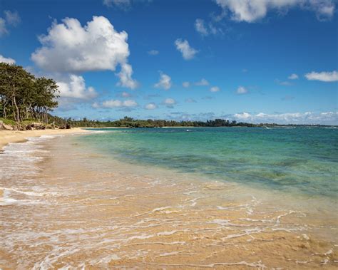 Camping At Malaekahana Beach Campground | M.A.Y Tours in Hawaii