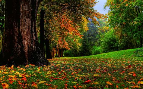 Download wallpaper for 2560x1440 resolution | Nature, Fall, Landscape ...