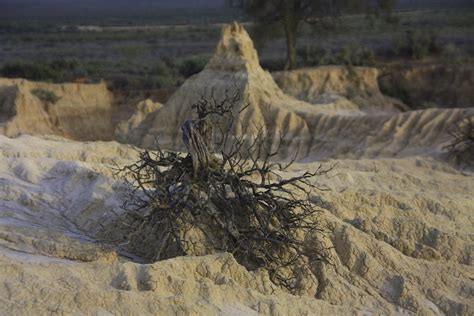 The Bones of Australia's Lake Mungo - JSTOR Daily