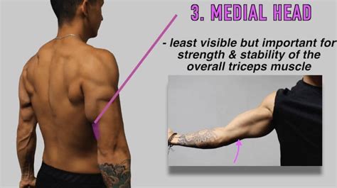 The Best Science-Based Tricep Exercises for Each Head (Work Your Weak Points!)