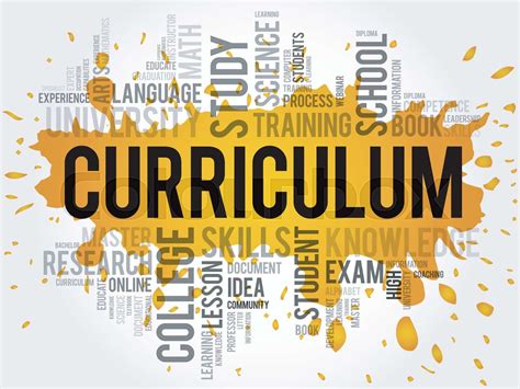 CURRICULUM word cloud | Stock vector | Colourbox