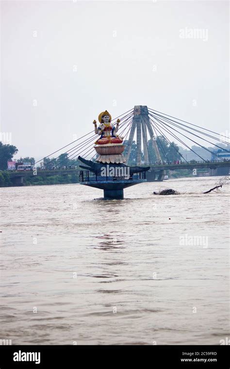 Ganges River Crocodiles