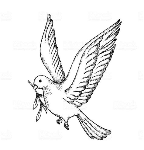 Vector of Hand draw dove. Symbol of peace | Peace dove tattoos, How to ...