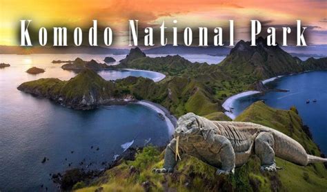 Komodo National Park - Land of Myths and Legend | DinoAnimals.com