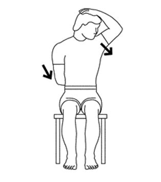 Levator Scapulae pain - Muscle Pain