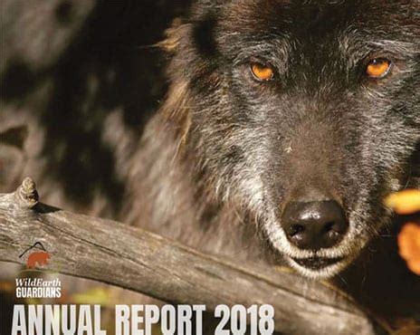 Annual Reports | WildEarth Guardians